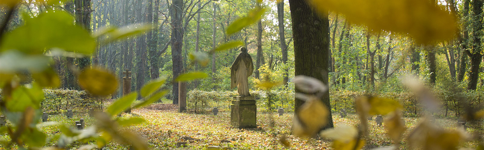 Herbstimpression &copy: H. Wächter