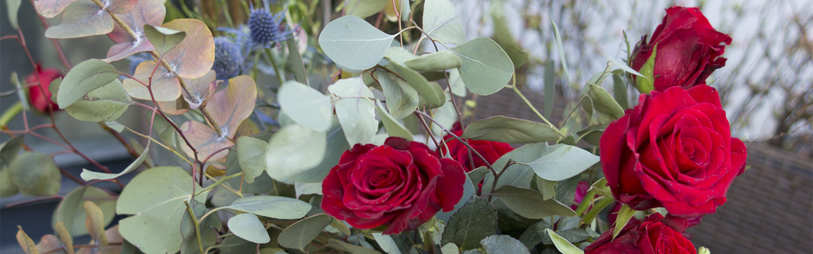 Herbstimpression &copy: H. Wächter