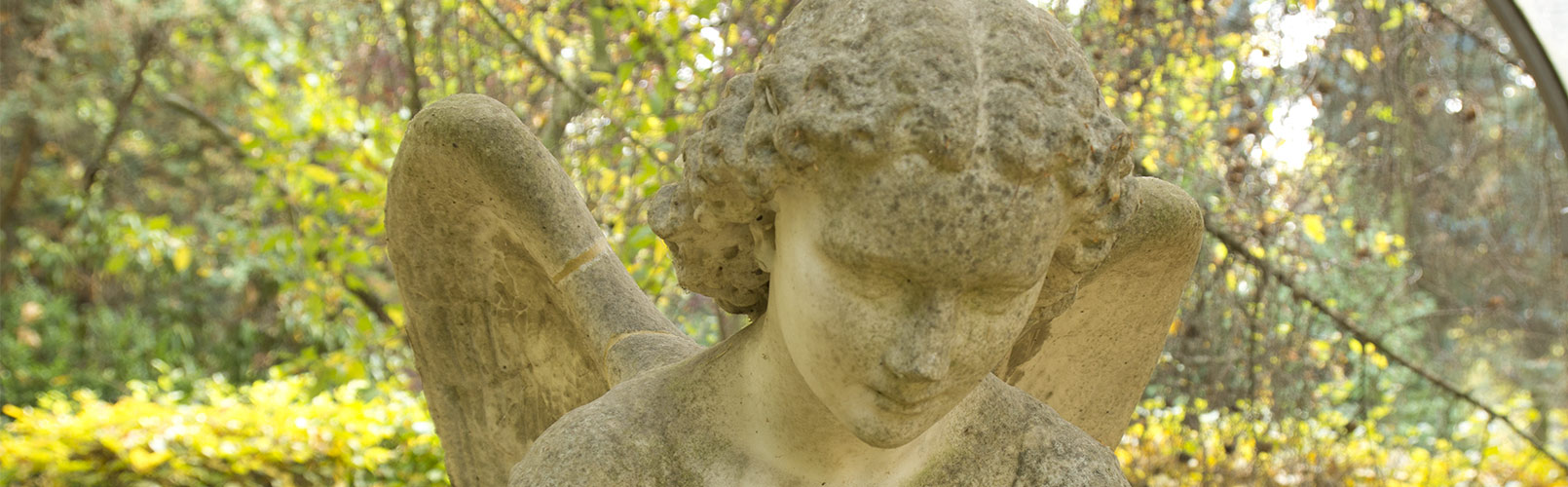 Kopf der Engelstatue an der Urnengemeinschaftsanlage &copy; H. Wächter