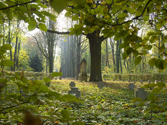 Blick über das Ehrenrondell für die Opfer des 1. Weltkriegs zur Allee &copy; H. Wächter