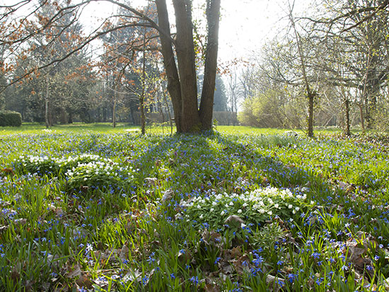 Impressionen im Frühjahr &copy; H. Wächter