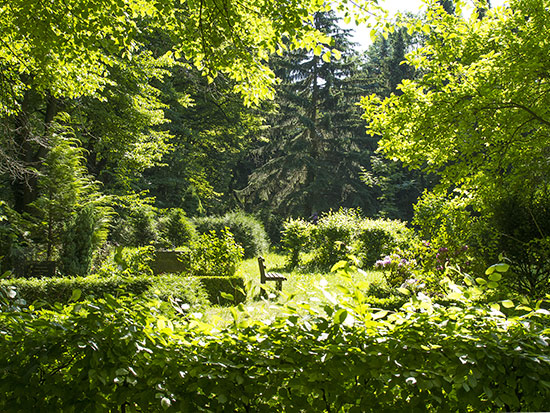 Impressionen im Sommer &copy; H. Wächter