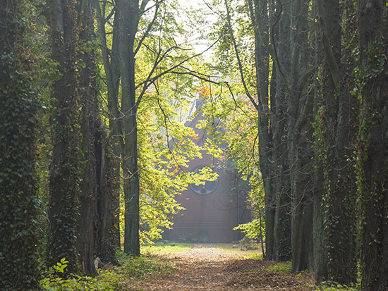 Allee zur Kapelle im Herbst &copy; H. Wächter
