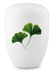 Abbildung einer Beispielurne