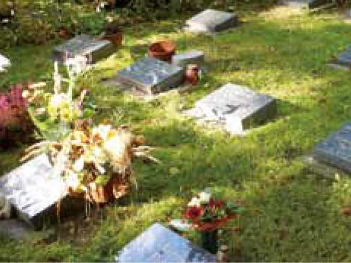 Urnenbestattungen im Rasen